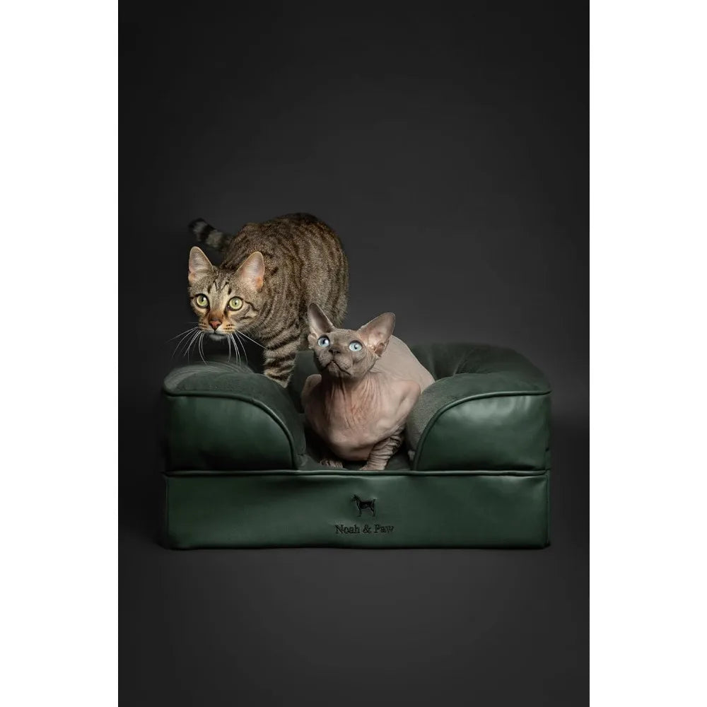 NOAH & PAW Small Dog Bed, 20x15x8 Inch, Cat Bed for Indoor Cats, Orthopedic Eggshell Memory Foam Infused with Cooling Gel, Water