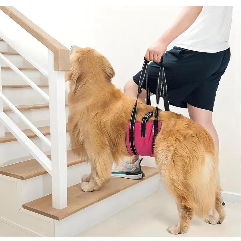 Dog Assist Belt Portable for Large Dogs Soft Padded Adjustable Pet Rear Leg Support For Older Dog Rehabilitation  Harness Leash
