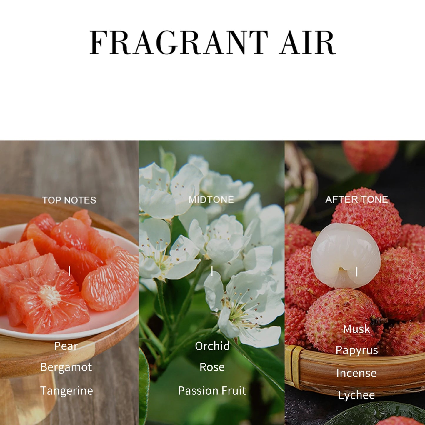 Black Beauty Eau De Parfum Spray Natural Fragrance Parfum With Gift Box Package Lasting And Personal Perfume For Women 75ML