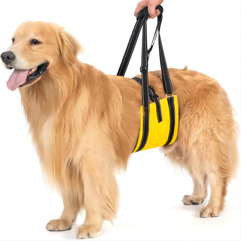 Dog Assist Belt Portable for Large Dogs Soft Padded Adjustable Pet Rear Leg Support For Older Dog Rehabilitation  Harness Leash