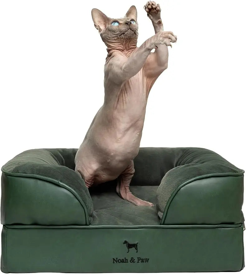 NOAH & PAW Small Dog Bed, 20x15x8 Inch, Cat Bed for Indoor Cats, Orthopedic Eggshell Memory Foam Infused with Cooling Gel, Water