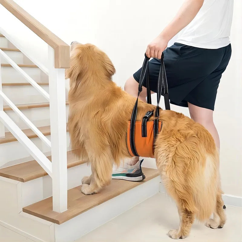 Dog Assist Belt Portable for Large Dogs Soft Padded Adjustable Pet Rear Leg Support For Older Dog Rehabilitation  Harness Leash