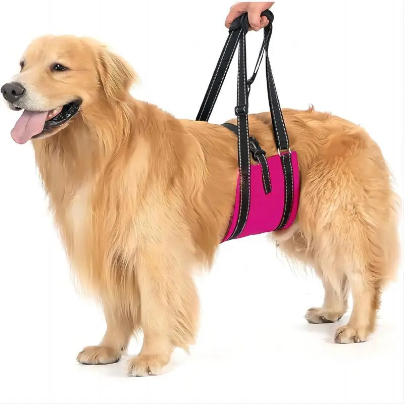 Dog Assist Belt Portable for Large Dogs Soft Padded Adjustable Pet Rear Leg Support For Older Dog Rehabilitation  Harness Leash