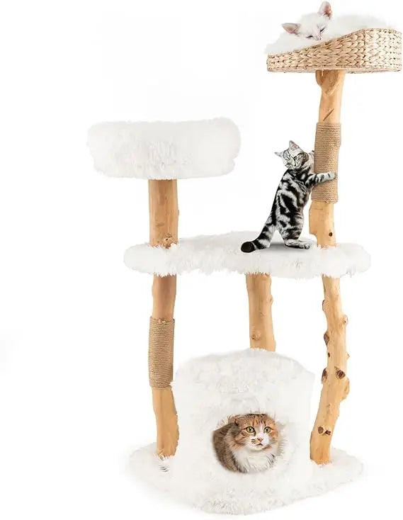 49 inch Cat Tree for Indoor Cats, Cute Solid Wood Modern Multi-Level Cat Tower with Scratching Posts, Top Cattail Basket