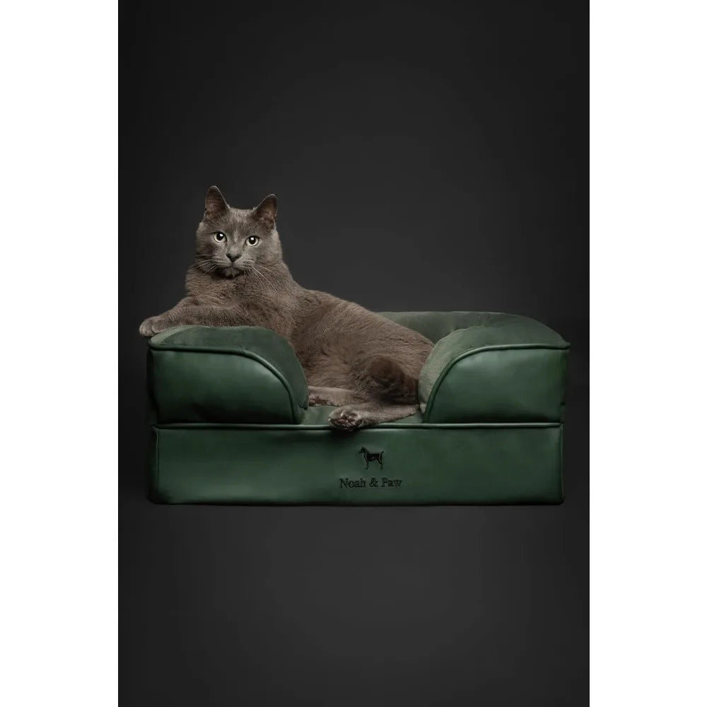 NOAH & PAW Small Dog Bed, 20x15x8 Inch, Cat Bed for Indoor Cats, Orthopedic Eggshell Memory Foam Infused with Cooling Gel, Water