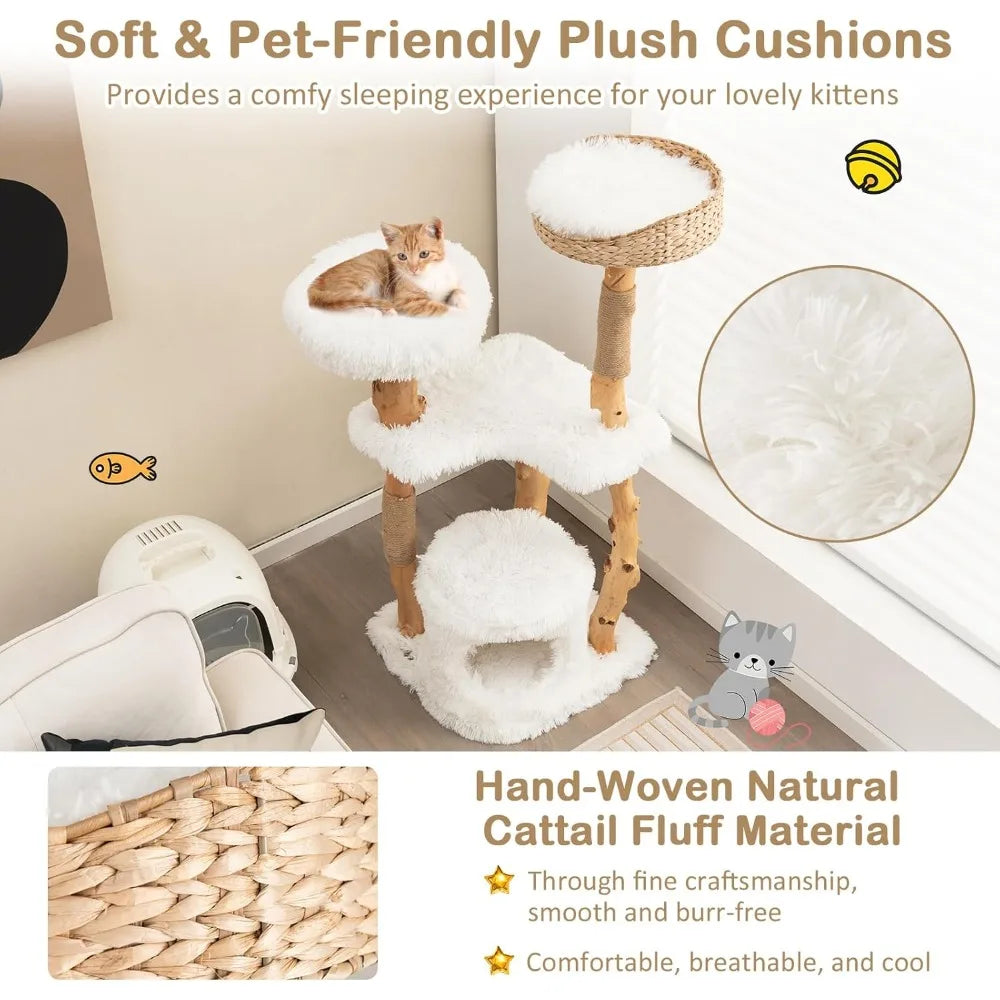 49 inch Cat Tree for Indoor Cats, Cute Solid Wood Modern Multi-Level Cat Tower with Scratching Posts, Top Cattail Basket
