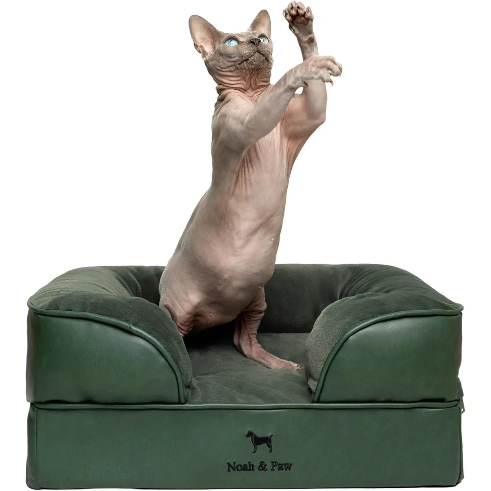 NOAH & PAW Small Dog Bed, 20x15x8 Inch, Cat Bed for Indoor Cats, Orthopedic Eggshell Memory Foam Infused with Cooling Gel, Water