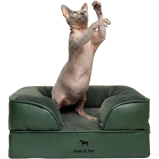 NOAH & PAW Small Dog Bed, 20x15x8 Inch, Cat Bed for Indoor Cats, Orthopedic Eggshell Memory Foam Infused with Cooling Gel, Water