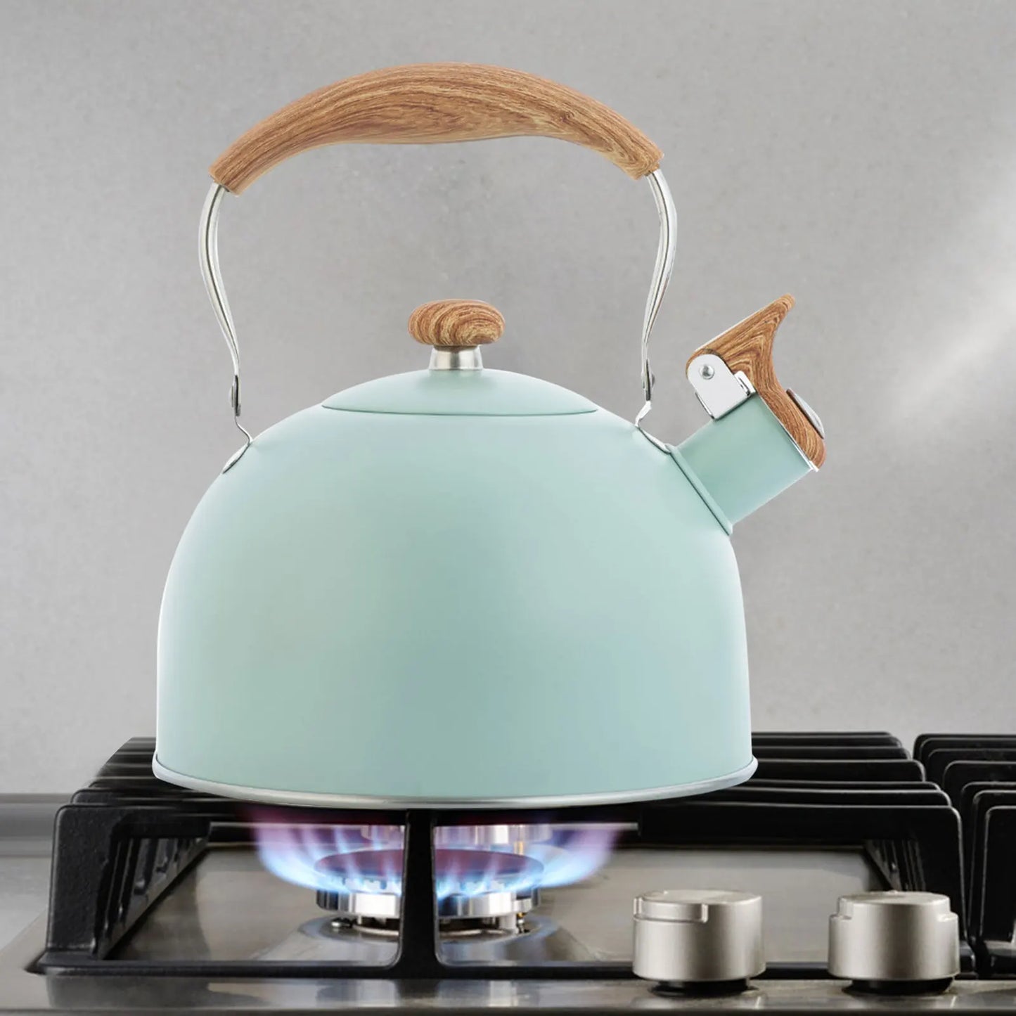 Whistling Tea Kettle For Stove Top Modern Stainless Steel Whistling Teapot 2.5 Liter Whistling Tea Kettle For Making Coffee Milk